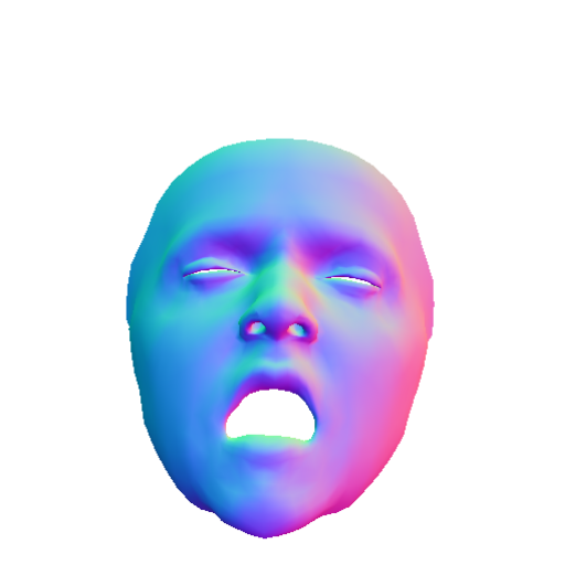 face_normal.png